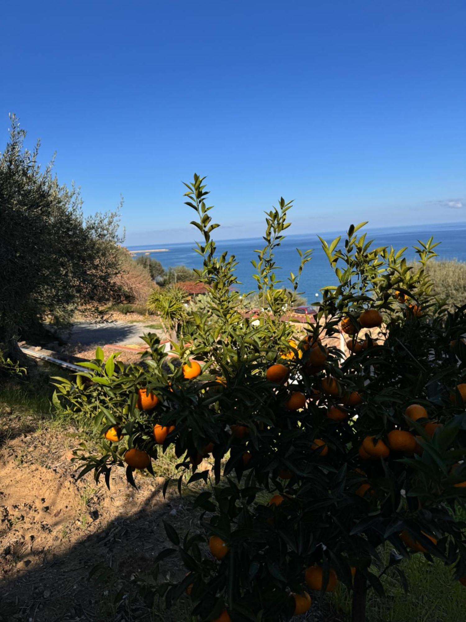 Mareblu Bed and Breakfast Cefalù Εξωτερικό φωτογραφία